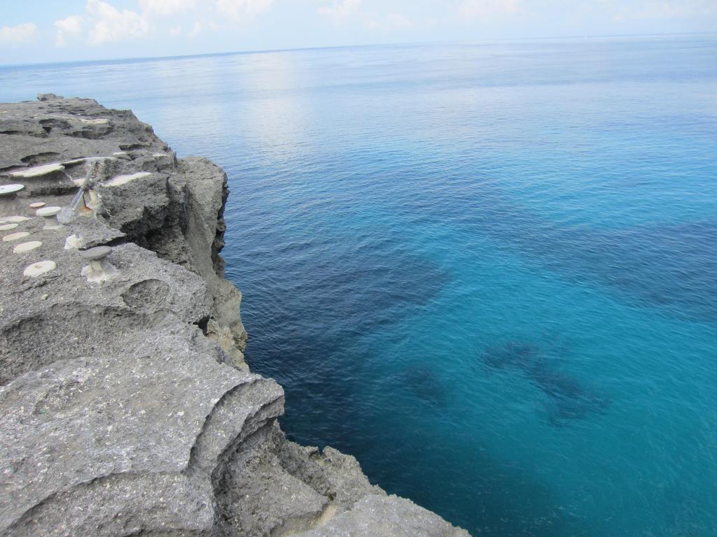 Naradas Mushroom Beach Lembongan Zewnętrze zdjęcie